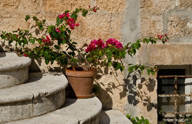 Flowerpot on Stairs in Kolcura, Croatia - ID: 13440974 © Gerda Grice
