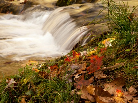 Autumn In The Smokies