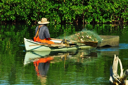 ROWING ALONG THE RIVER