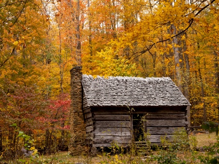 Old Log Cabin