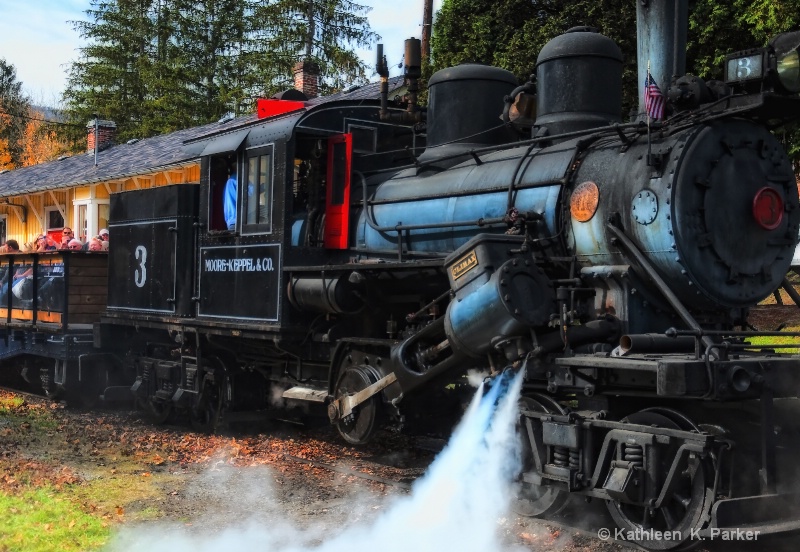 Old Number 3, Climax Locomotive - ID: 13455472 © Kathleen K. Parker