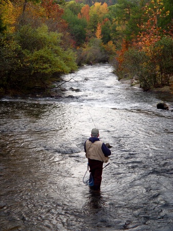 Fall Fly Fishing