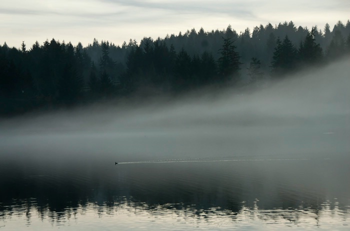 Evening Mist on Eckman Lake