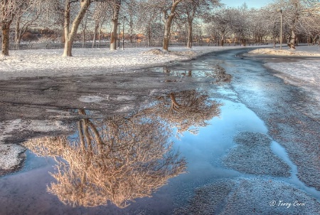 Frozen Reflections