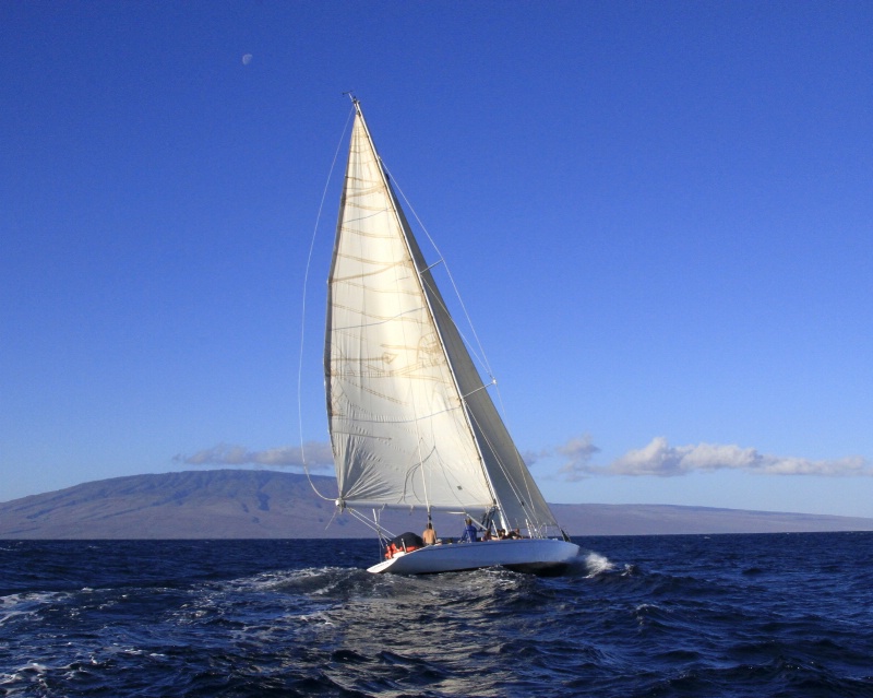 ~Morning Maui Sailing~