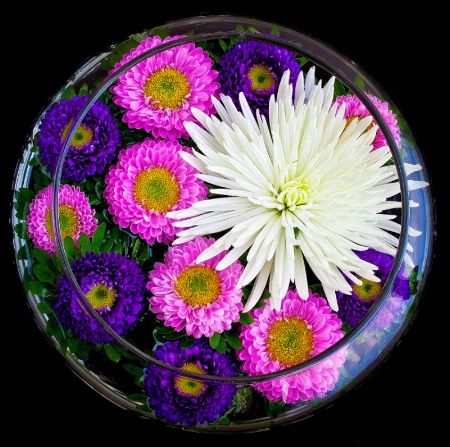 Asters and a Mum Floating in the Round