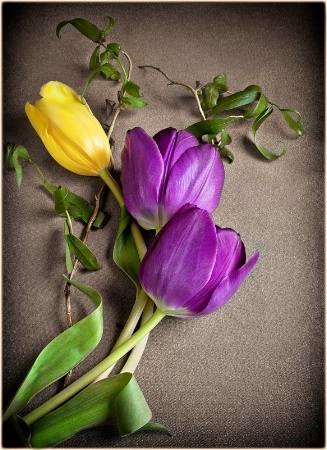 Faux  Hand Tinted Tulips