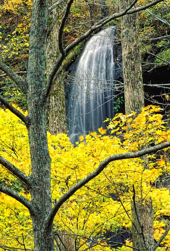Golden Falls