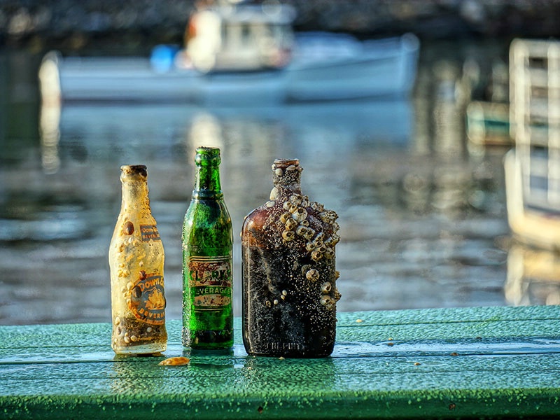 Barnacle Bill's Bottles