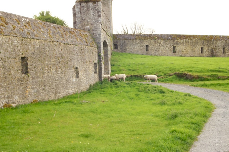 Kells Priory 1 - ID: 13895621 © Lamont G. Weide