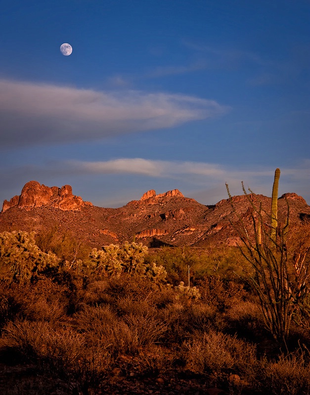Arizona Desert Moonrise