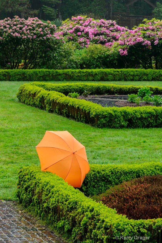 Umbrella, Garden, Rain