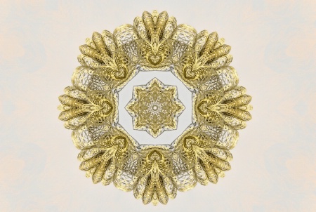 Doily Abstract