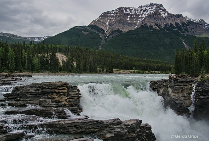 The Top of Athabaska Falls, Alberta - ID: 13960766 © Gerda Grice