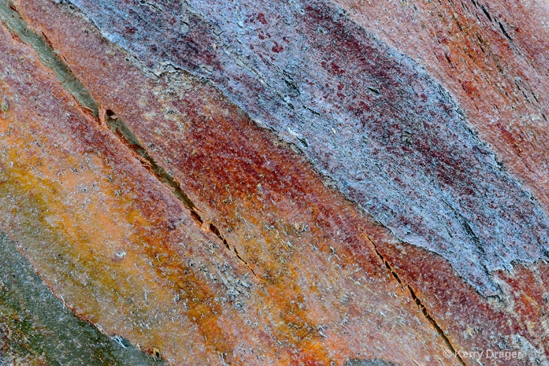 Abstract Bark Pattern 3