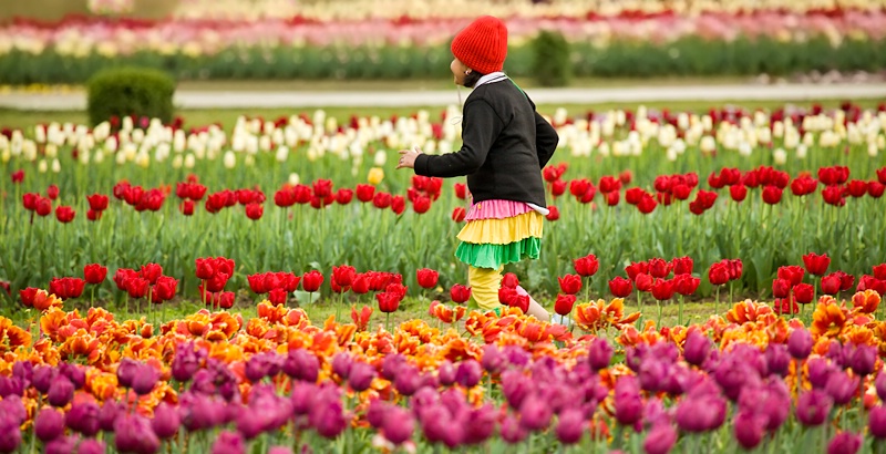 A Happy Girl in Tulip Garden