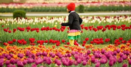 A Happy Girl in Tulip Garden