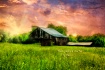 Back Roads Of Lex...