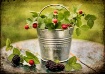 Berries