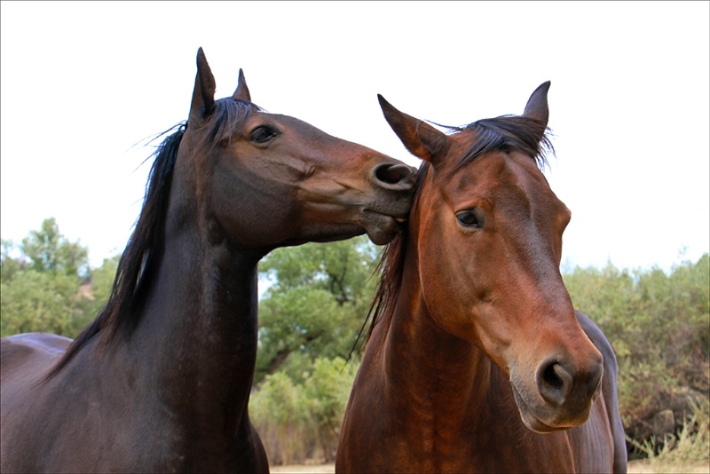 Love in Lockwood Valley