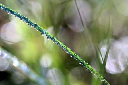 Chain Of Rain