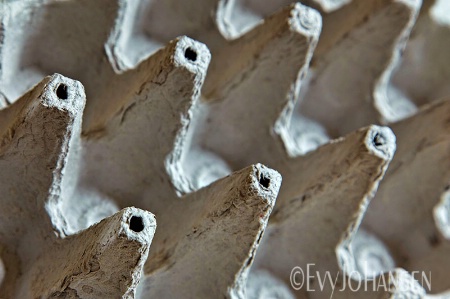 Empty Egg Tray