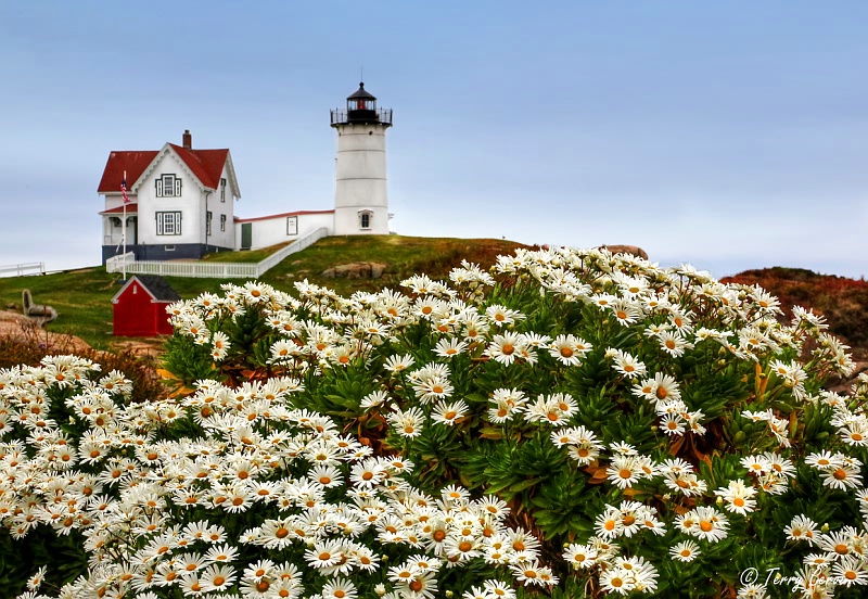 Cape Neddick Light