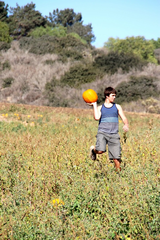 Picking the Perfect Pumpkin