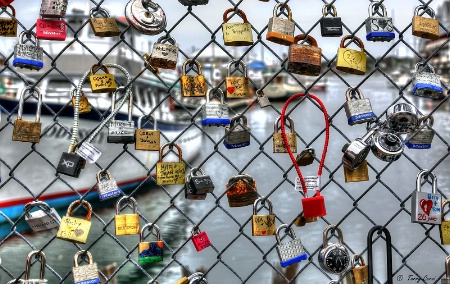 Portland Love Locks