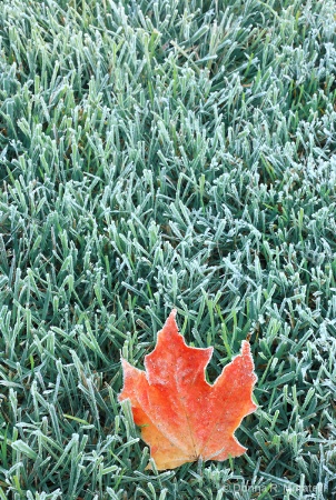 October frost
