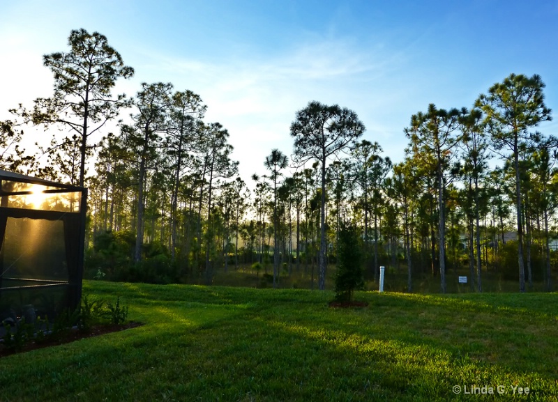 My Backyard with View of the Preserve