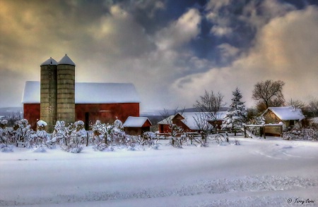 Winter on the Farm