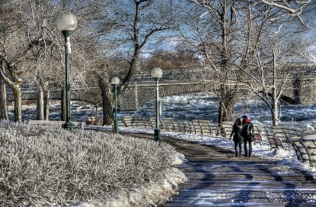 Winter Stroll