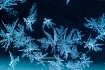 Winter Art