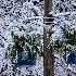 © Gerda Grice PhotoID # 14336920: Blue Pots after the Ice Storm and Snow Storm