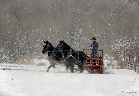 A Bitter Cold Job