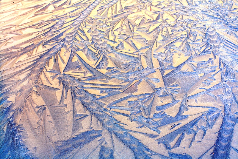 Fossil-like frost pattern