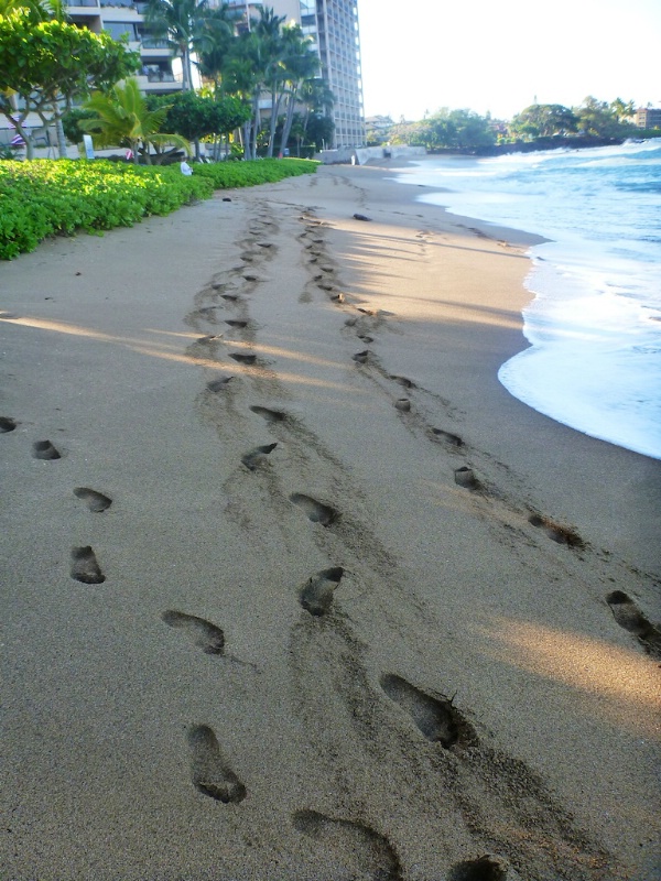 Footprints at the Beach - ID: 14365010 © Lamont G. Weide