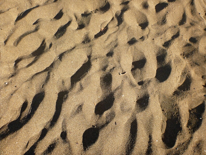 Sand at Beach - ID: 14365012 © Lamont G. Weide