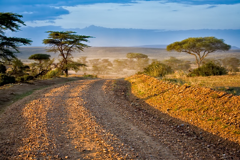 A glimpse of Masai Mara