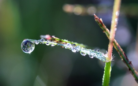 Starry Drops With Reflections