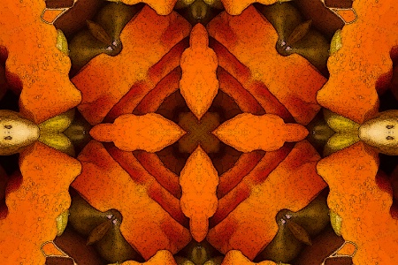 Peas and Carrots Abstract