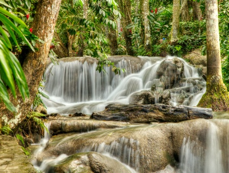 Dunn's River Falls