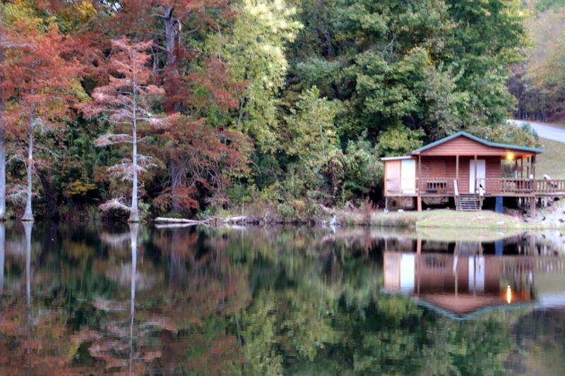 Beavers Bend Fly Shop In Autumn Color