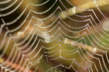 Web Patterns