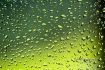Spring Rain