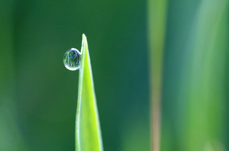 Tiny Water Drop