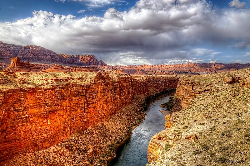 View from the Navajo Bridge