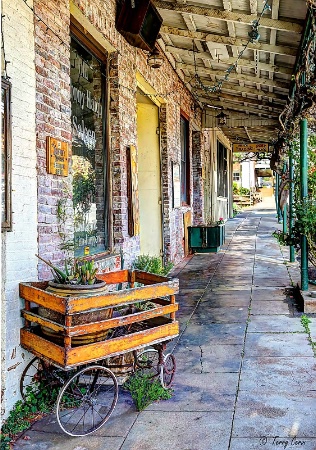 A Walk Down Main Street