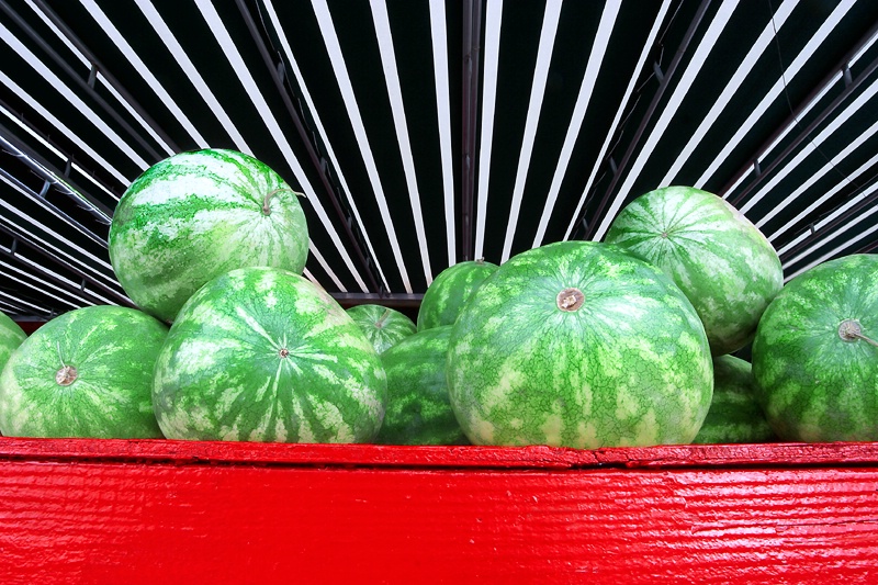 Farm fresh watermelons